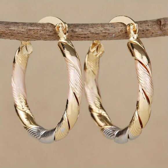 Two Tone Hoop Earrings - Picture 1 of 4